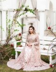 ParizaProduct Image – 4 – Haris Ahmed Designer